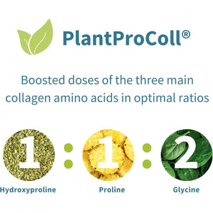 Vegan Pro-Collagen Protein Powder, Plant-Based Peptide Supplement with Glycine, 21 Amino Acids & Vitamin C, Complete Collagen Boosting Formula, Mix into Drinks or Food, 35 Servings, by Igennus
