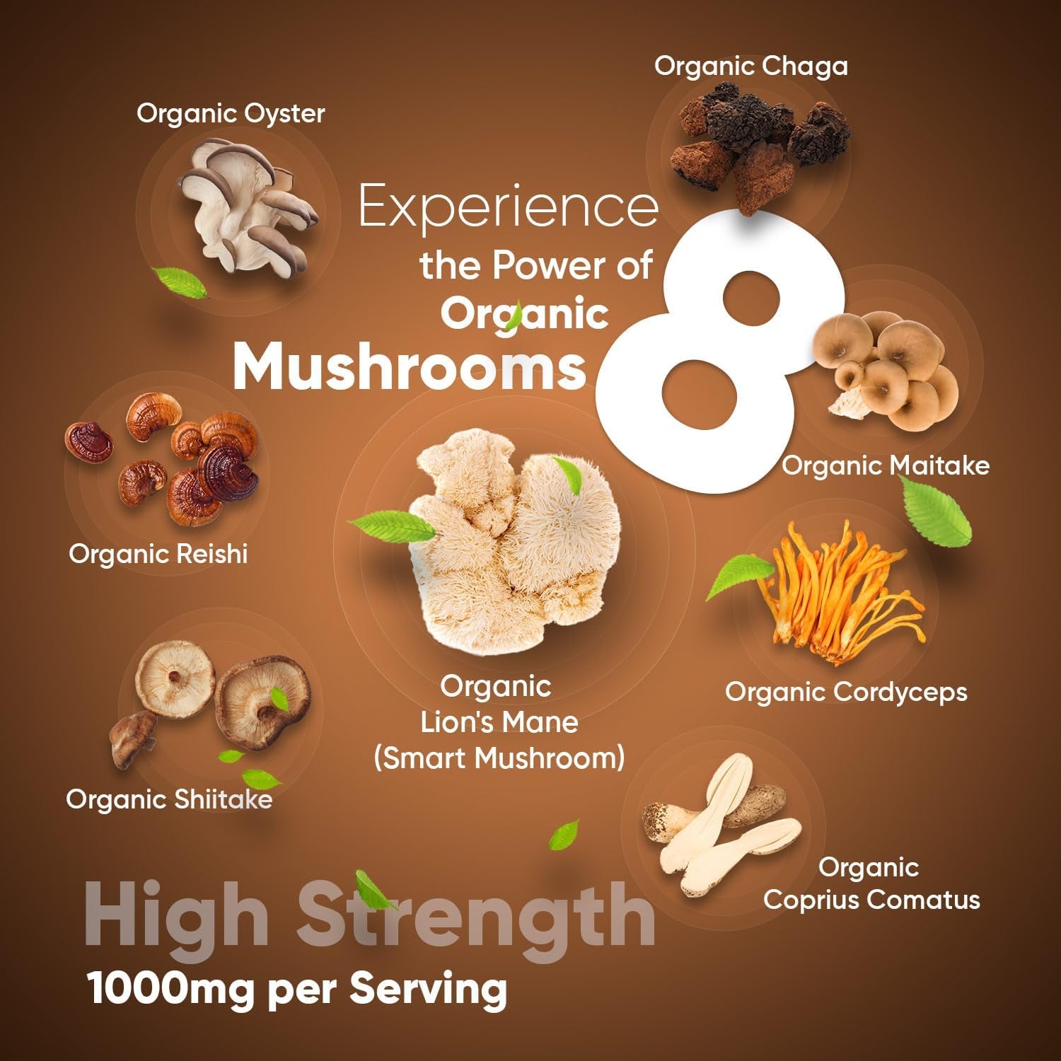 Organic Mushroom Complex 8-180 Capsules - 1000Mg - Lion'S Mane & 7 Mushroom Blends (Reishi, Chaga, Cordyceps, Shiitake, Oyster, Maitake & Coprinus) - Added Turmeric & Ginger - Vegan & Non-Gmo