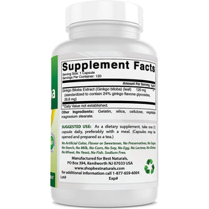 Best Naturals, Ginkgo Biloba Extract - Double Strength Ginkgo Biloba, 120Mg, 120 Capsules (120 Count (Pack of 2))
