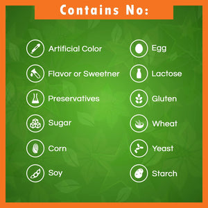 Best Naturals Pregnenolone 100 Mg 120 Tablets (120 Count (Pack of 1))