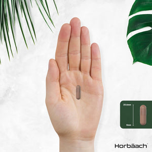 Pine Bark Extract Capsules 6000Mg | 180 Count | High Strength Supplement | 15:1 Pine Bark Extract | 95% Proanthocyanidins | by Horbaach