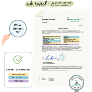 Vegavero Organic Hawthorn Berry Capsules | 2800 Mg (4:1 Extract) | NO Additives | Lab-Tested | Natural Antioxidants Supplement | Vegan