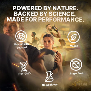 Biorevive C8 MCT Oil Prebiotic Powder Ketogenic Supplement with Responsibly Sourced Coconut & Acacia Fibre for Gut Health, Focus & Energy – Pure Caprylic Acid C8 Formula, 180G