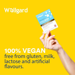 Wellgard Vegan Hyaluronic Acid Supplements, 50 to 3000 DA - Hyaluronic Acid Capsules, Made in UK
