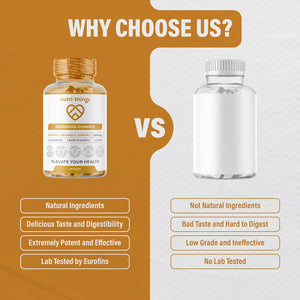 Berberine Gummies with Ceylon Cinnamon & Turmeric – High Strength Berberine HCL Supplement for Metabolic Support, Blood Sugar Balance – Vegan & Gluten-Free – 60 Gummies