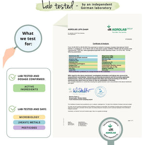 Vegavero Organic Spirulina 4000 Mg | 300 Tablets | NO Additives | Natural Source of Protein, Vitamins & Minerals | Vegan