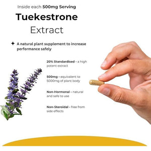 Turkesterone Supplement 5000Mg - 120 Caps High Strength - Standardized to 20% Ajuga Turkestanica Extract - for Muscle and Strength - Pure Extract No Additives or Filler
