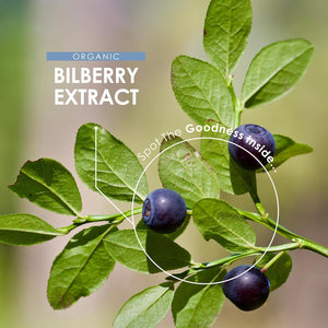 Organic Bilberry Extract 5000Mg – High Strength 5% Anthocyanidins – 90 Vegan Capsules (3 Months Supply) – Resealable and Recyclable Pouch – by Alpha01