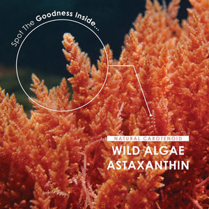 Wild-Algae Astaxanthin 160Mg - High Strength Providing 8Mg Astaxanthin Antioxidant - 90 Softgels - Resealable and Recyclable Pouch by Alpha01