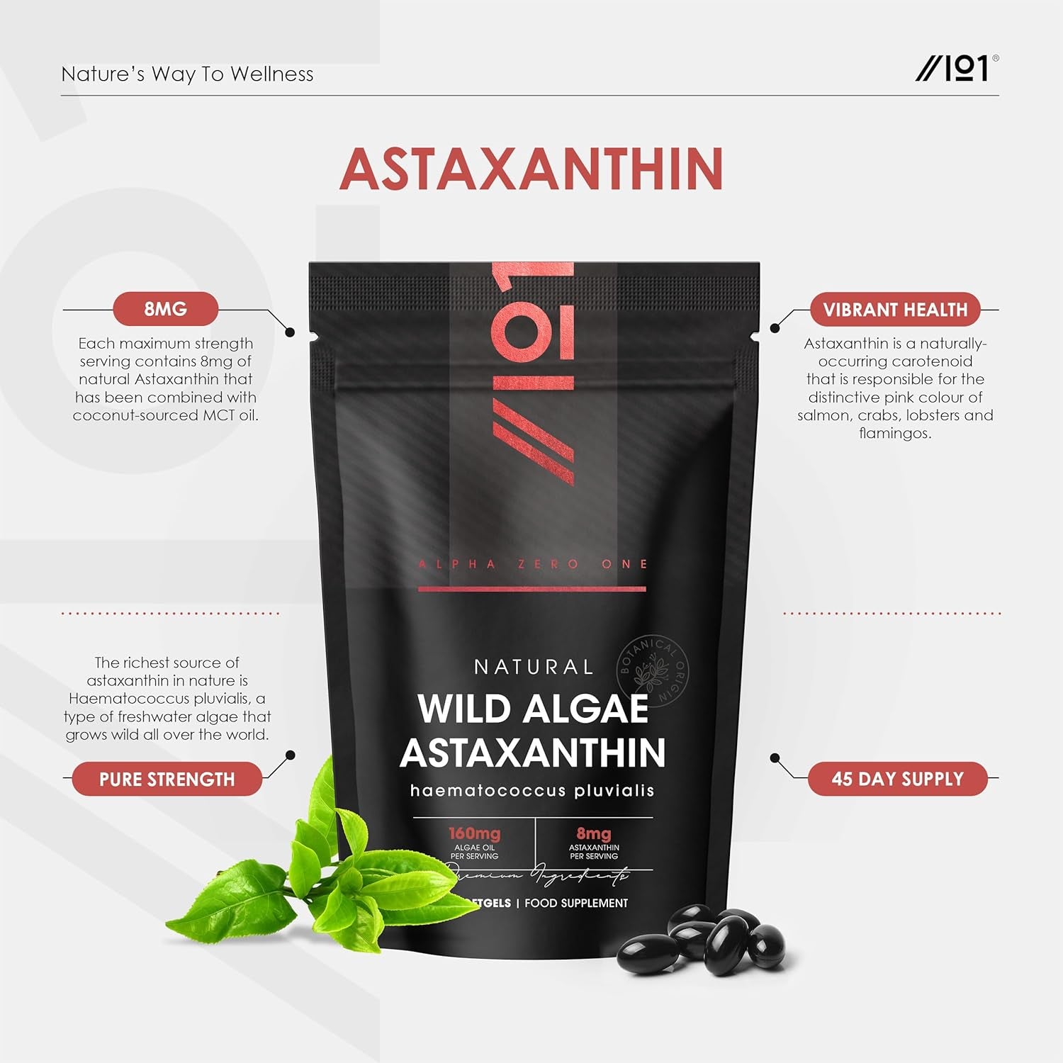 Wild-Algae Astaxanthin 160Mg - High Strength Providing 8Mg Astaxanthin Antioxidant - 90 Softgels - Resealable and Recyclable Pouch by Alpha01