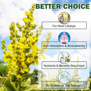 Mullein Gummies 2000Mg- Mullein Leaf Extract for Lungs, Lung and Respiratory System Support, Vegan