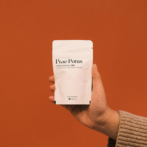 Prae Potus (Latin for before Drinking) Turmeric, Vitamin B12 and N-Acetyl Cysteine (NAC) Food Supplement | Liver Support | Scientifically Tested | Vegan | 10 Capsules