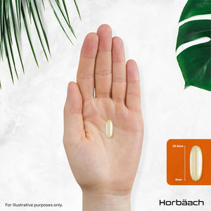 Pumpkin Seed Oil Capsules 3000Mg | Omega 6 and 9 Fatty Acids | Cold-Pressed | High Strength Supplement | 200 Softgels | by Horbaach