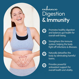 Ayurvediq Wellness Organic Triphala Capsules 120, 500Mg – Natural Pure Triphala Powder Organic Capsules for Immunity, Digestion, Wellbeing – Soil Association Certified - Vegan Ayurveda Supplements