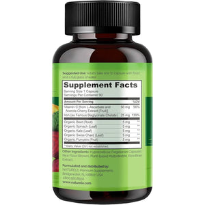 Iron Supplement with Vitamin C & Whole Food Blend – Gentle Iron Capsules for Women & Men – Supports Energy, Pregnancy, Anemia & Vegan Diets – 90 Mini Capsules (3-Month Supply)