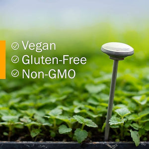 Stinging Nettle Leaf Tincture Drops - Fresh Plant Extract Organically Harvested 100 Servings - Nettle Supplement 100% Nettle Extract - Highest Concentrate - UK Produced - GMDP Certified/Vegan/Non GMO