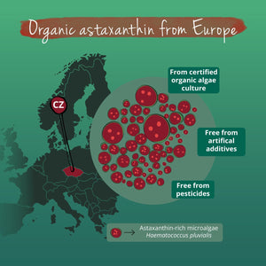 Vegavero Organic Astaxanthin 8 Mg | Natural Antioxidant Supplements | Highly Bioavailable | NO Additives, Lab-Tested | 60 Capsules | Vegan