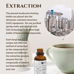 Ecodrop Organic Turkey Tail Mushroom I 50Ml I Double Extract Liquid Tincture Turkey Tail Supplement I Heavy Metal-Free, Nordic Sourced, & Fully Traceable I Manufactured in Finland