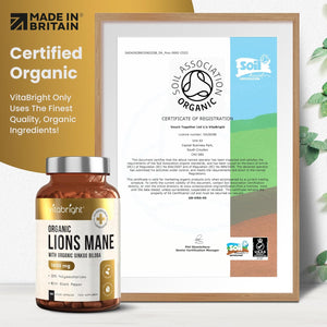 Vitabright Lions Mane Supplement Capsules | Mushroom Complex | 3600 Mg per 2 Capsules | 4 Month Supply | Organic Lions Mane Powder & Gingko Biloba | High Strength Lionsmane Supplement | Made in UK