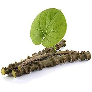 Herbal Magic'S Pure & Natural Giloy Powder, for Super Smoothies, Shakes, Soups - Premium Quality Powder - Free from Fillers & Preservatives - 100G