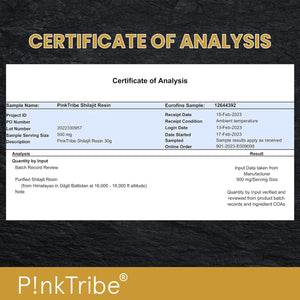 Shilajit Resin, Original Himalayan Shilajit 30G - Gold Grade 100% Pure, Rich in Fulvic & Humic Acid, Minerals, Immune System & Vitality Booster, Vegan (Pack of 1)