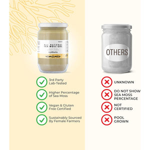 Wyld Herbs All-Natural Organic Sea Moss Gel | 100% Wildcrafted Dr Sebi Sea Moss | Superfood Rich in Minerals, Proteins & Vitamins - Vegan & Gluten Free Sourced from the Caribbean 720ML