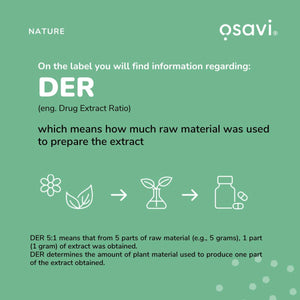 Osavi Rhodiola Rosea Root 400Mg – 120 Vegan Caps | Adaptogenic Support for Reducing Stress–Induced Fatigue and Enhancing Mental & Physical Wellbeing