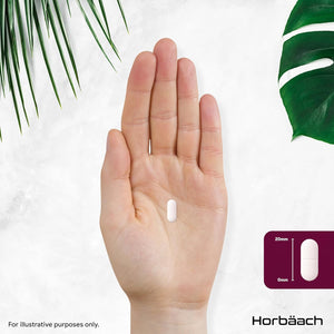 Potassium Supplement High Strength 1500Mg with Vitamin C | Electrolyte Tablets | Potassium Citrate | 120 Count | 100% Vegan | by Horbaach