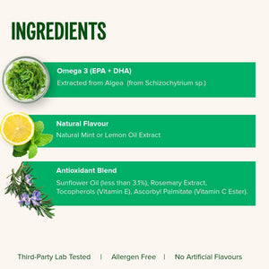 Vivo Life Vegan Omega 3 Liquid Drops from Algae, 60Ml, 30 Servings, Natural Health Supplement (60 Ml (Pack of 1), Lemon)