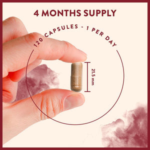 Gentle Iron Supplements for Women and Men - 42 Mg Iron Tablets High Strength with Natural Vitamin C - Active Form - Bisglycinate - Fatigue Supplements with High Bioavailability - 120 Capsules