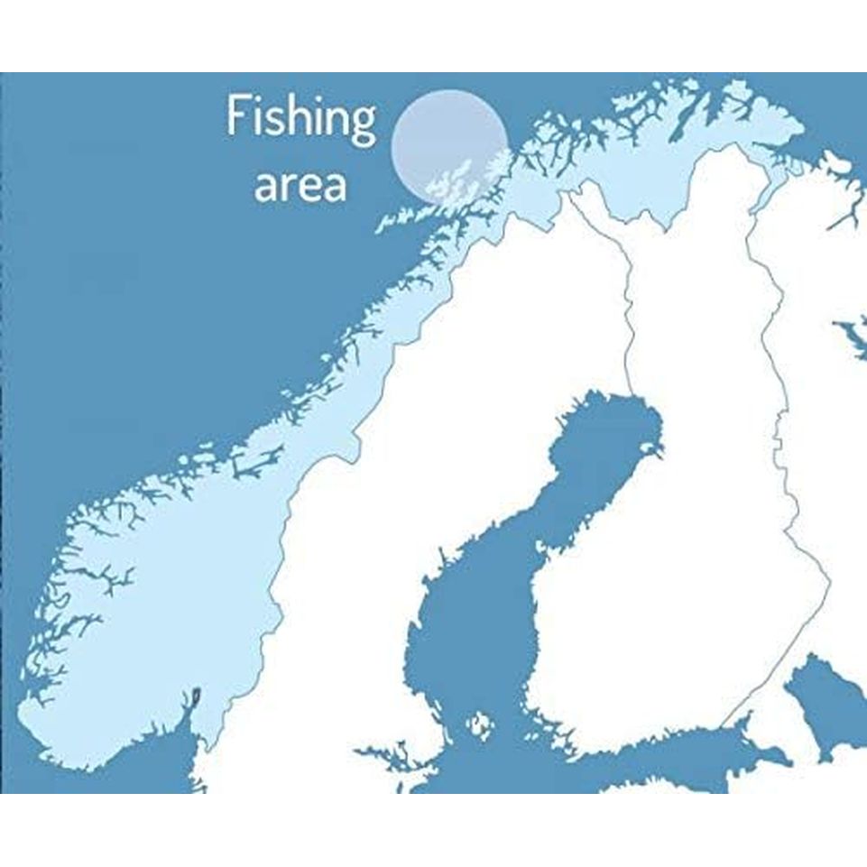 Cod Liver Oil, High in EPA & DHA, NORSAN Arktis, Natural Fish Oil, 200 Ml Bottle