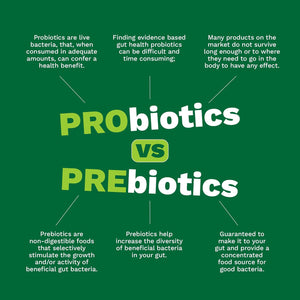 Prebiotic Fibre Complex for Gut Health by Wellbiome – Probiotic Support, Digestive Wellness, Immune System Support – Magnesium for Anxiety, Mood & Energy – 30 Servings