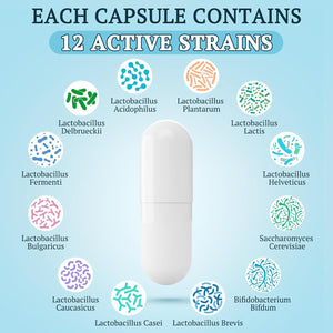 300 Billion CFU Probiotics for Digestive Gut & Immune Health, Advanced Strength Probiotics with 12 Diverse Strains + 3 Prebiotics for Women & Men (60 Count (Pack of 1))