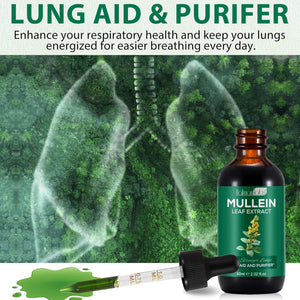 2 Pack Mullein Drops for Lungs, Mullein Leaf Extract with Chlorophyll, Mullein Leaf Extract Supplement, for Lung Cleanse and Respiratory Support