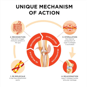 Collanol - the Revolution in Joint Health Care - Liquid Formula in a Double Capsule 3D Collagen + Micellar Extract of Turmeric Roots 1 Capsule/Day. Laboratory Tested (20 Count (Pack of 3))
