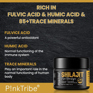 Shilajit Resin, Original Himalayan Shilajit 30G - Gold Grade 100% Pure, Rich in Fulvic & Humic Acid, Minerals, Immune System & Vitality Booster, Vegan (Pack of 1)