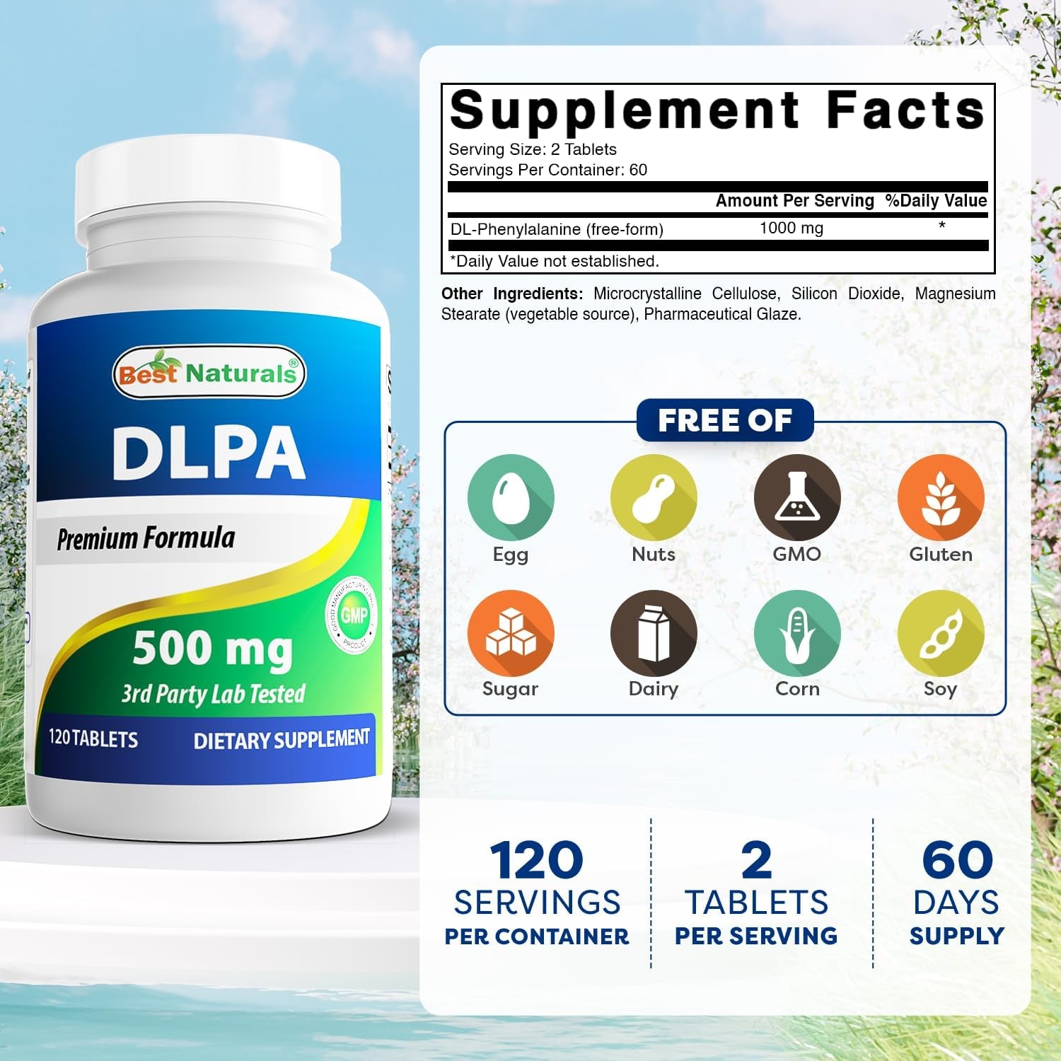 Best Naturals DLPA 500 Mg 120 Tablets (120 Count (Pack of 1))