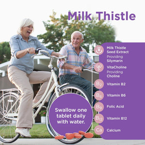 Healthspan Milk Thistle Complete (90 Tablets) | 50Mg Milk Thistle Extract | with B Vitamins, Calcium & Choline to Support Your Digestive Health & Liver Function | Vegan Friendly