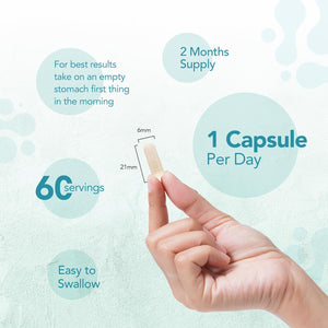 Zipvit Probiotic 6 Billion CFU with Prebiotic, Multi Strain Probiotics for Gut Health, 5 Strains Including Lactobacillus Acidophilus, 60 Vegetarian Capsules for Women & Men, 2 Month Supply