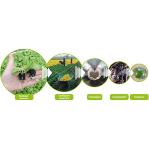 Sinupret ® Forte by Bionorica - Sinus & Immune Support 20 Tabs