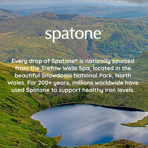 Spatone Natural Iron Supplement + Vitamin C (42 Sachets), Daily Convenient Liquid Iron Sachets, Nothing Artificial, Better Absorption than Tablets, Less Side Effects, Apple Flavour