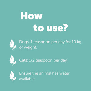 Fiberact for Dogs & Cats – Natural Gut Health & Gland Support – Helps Reduce Hairball Build-Up & Maintain Normal Stool Consistency – Supports Scooting Reduction – Blond Psyllium Powder 100G