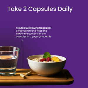 Proceive® Fertility Supplements for Women - Conception Vitamins for Trying to Conceive - Contains Zinc, Folic Acid, Vitamin D - 60 Capsules (1 Month Supply) - Vegan