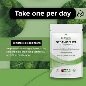 Bodygenix Organic Silica Capsules - 500Mg Bamboo Extract Hormonal Balance Healthy Bones & Hair Natural Food Supplement - 30 Capsules 1 Month Supply