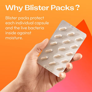 Bio-Kult Everyday Multi-Strain Formulation Probiotics for Digestive System, 60 Capsules (Pack of 1)