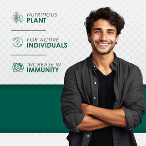 Ambrosial Moringa Capsules 2000Mg | Moringa Leaf Extract | Plant-Based Herbal Supplement | Natural Wellness Support | 120 Vegan Capsules