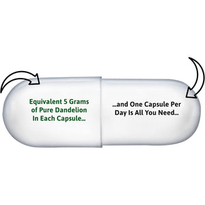 High-Strength Dandelion Extract Capsules (10:1) 5,000Mg per Capsule - 90 per Bottle, Vegan Safe, UK Manufactured