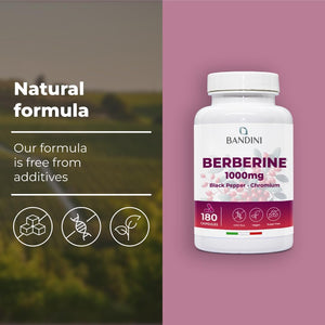 Bandini® Berberine 1000Mg Pure High Dosage | 180 Vegan Capsules - Pure Berberin HCL from Berberis Aristata 97% + Chromium and Black Pepper | Maximum Absorption - Digestive, Liver, Intestinal Function