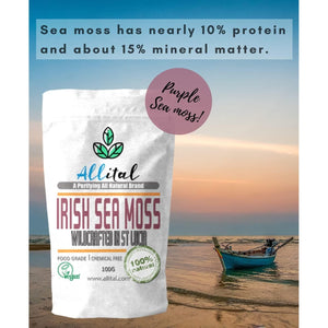 Purple Sea Moss - Raw Wildcrafted St Lucian, 100G Purple Irish Seamoss, Non GMO, Full of Minerals, Great for Smoothies, Soups, Salads…