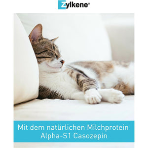 Zylkene 75 Mg - 100 Capsules (Cats & Small Dogs)